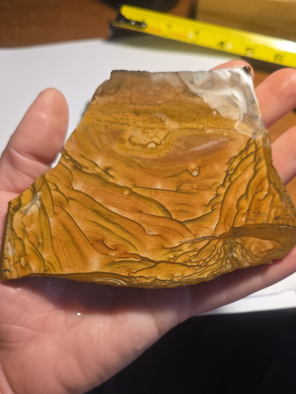 Old Stock Biggs Oregon Picture jasper Slab 147.49g
